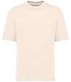 NS308 Native Spirit Unisex French Terry T-Shirt Ivory colour image